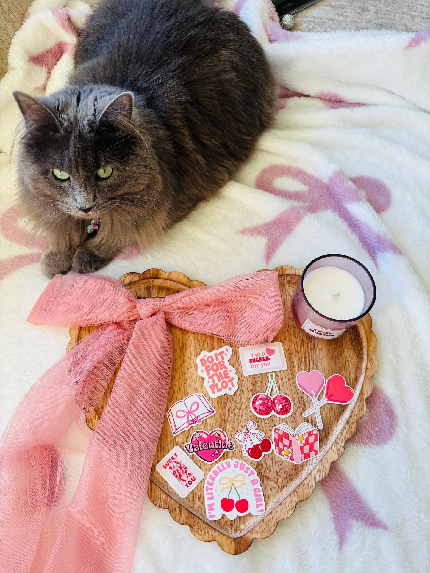 bookish valentine stickers